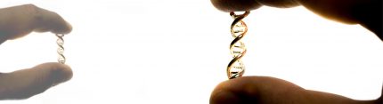DNA Strand in Hand