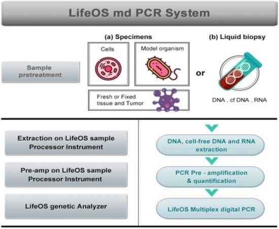 Multiplex Digital PCR Graphics